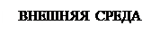 Скругленный прямоугольник: ВНЕШНЯЯ СРЕДА