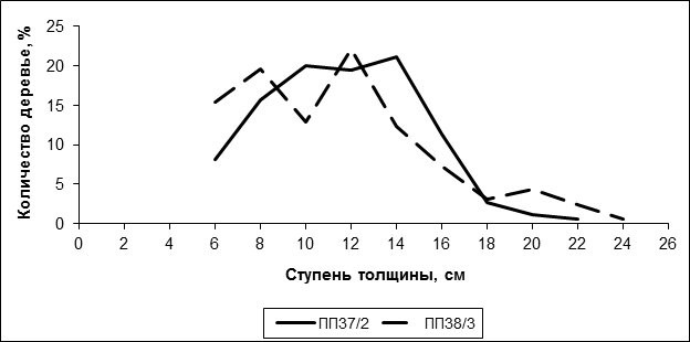 Какой фактор оказывал наибольшее влияние на формирование кроны сосен изображенных на рисунке