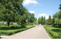 missing image file