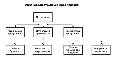 Финансирование организации на примере. Финансовая структура организации схема.