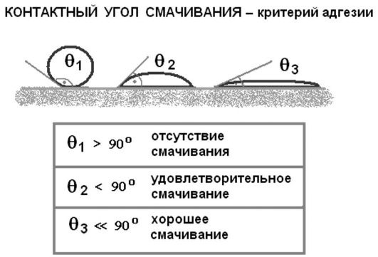 По схеме объясните медленное движение лягушки вперед по твердой поверхности левая передняя лапка