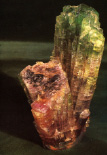kir6.jpg