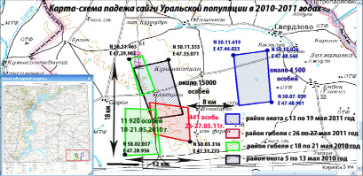 Концентрация co карта