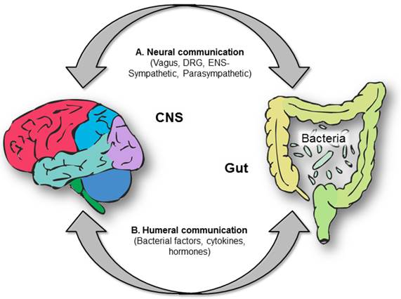 nutrients-08-00056-g001-1024
