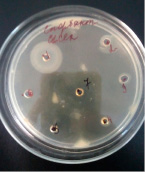 bio8.tif