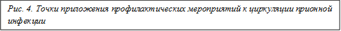 Рис. 4. Точки приложения профилактических мероприятий к циркуляции прионной инфекции