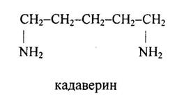 Безымян2ный