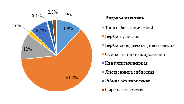 Создайте эскиз городского парка с соблюдением соотношения красоты и пользы