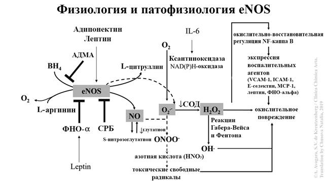 c[tvf-2.jpg