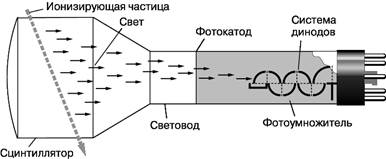 3206205.jpg